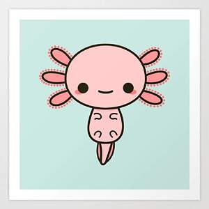 axolotl 3